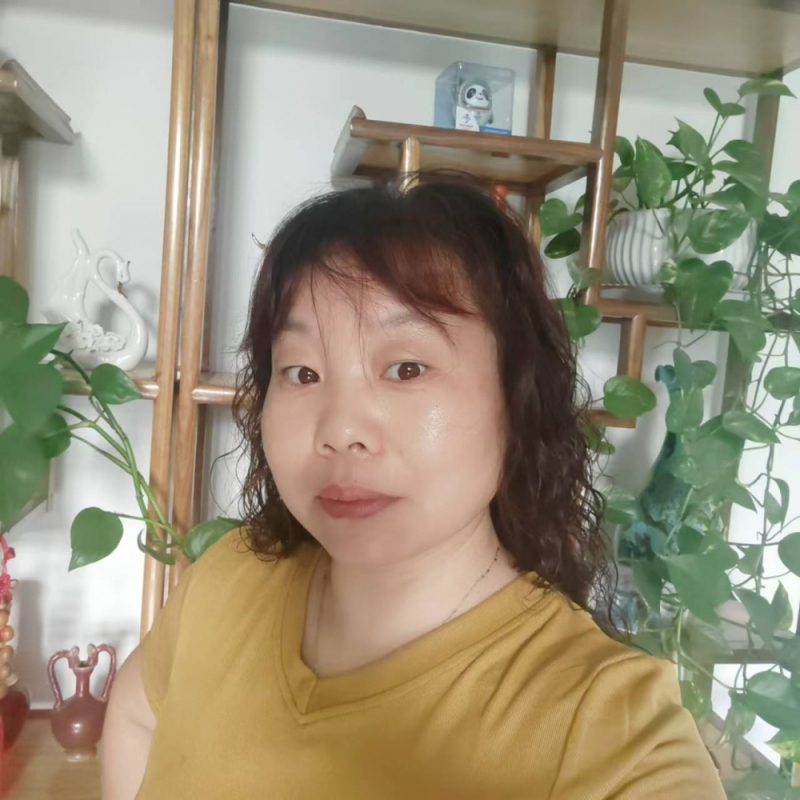 婚恋平台：寻找灵魂伴侣的新时代